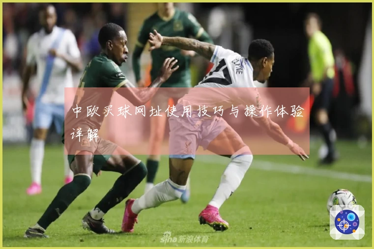 中欧买球网址使用技巧与操作体验详解