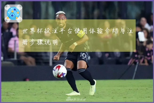 世界杯投注平台使用体验介绍与注册步骤说明