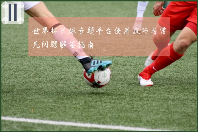 世界杯买球专题平台使用技巧与常见问题解答指南