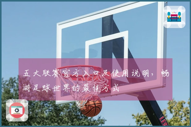 五大联赛官方入口及使用说明，畅游足球世界的最佳方式