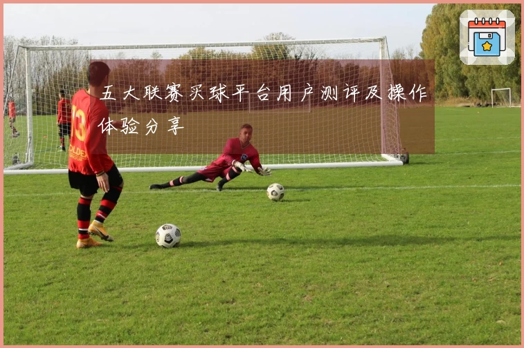 五大联赛买球平台用户测评及操作体验分享