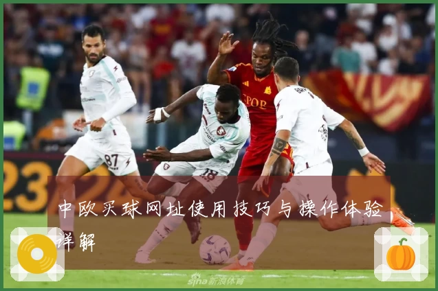 中欧买球网址使用技巧与操作体验详解
