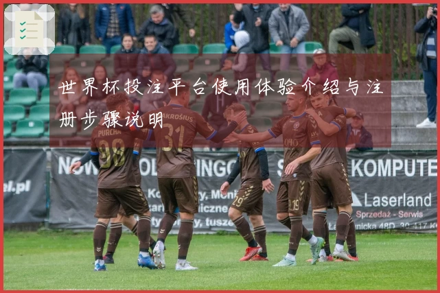 世界杯投注平台使用体验介绍与注册步骤说明