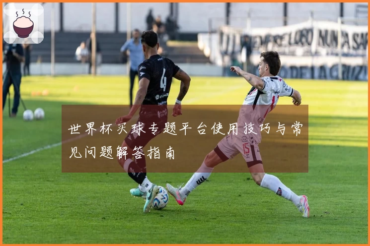 世界杯买球专题平台使用技巧与常见问题解答指南