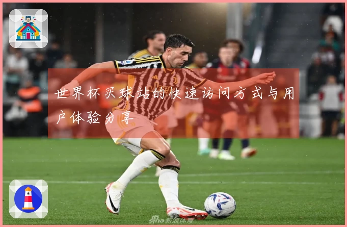 世界杯买球站的快速访问方式与用户体验分享